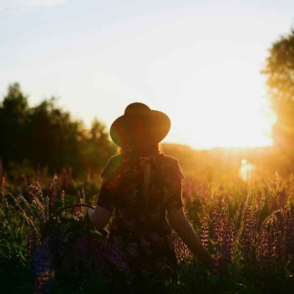 Thumbnail for Partakers of His Holiness