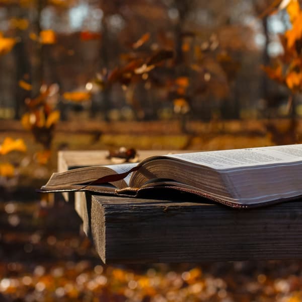 Thumbnail for What God’s Word Will Do for You (Part 1)