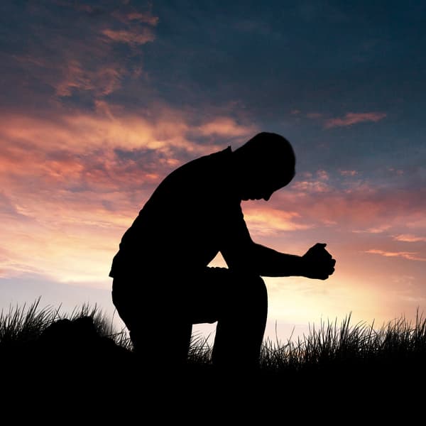 Thumbnail for The Battle to Reign