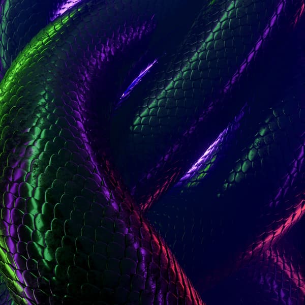 Thumbnail for The Nature Of The Beast