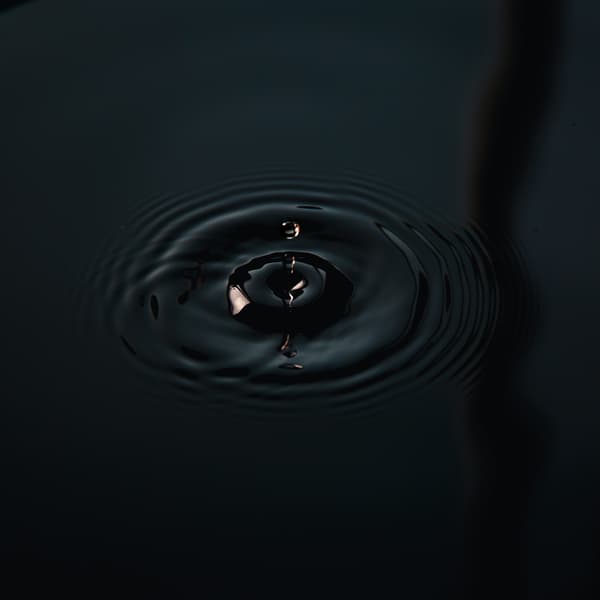 Thumbnail for Life’s Bitter Pool (Part 1)