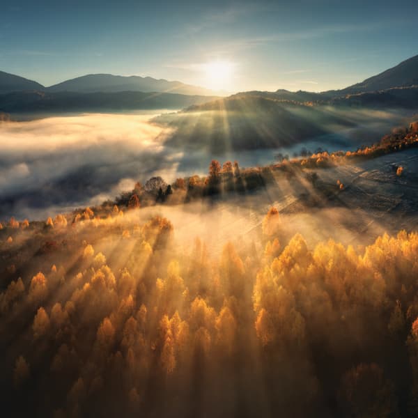 Thumbnail for Light of the World