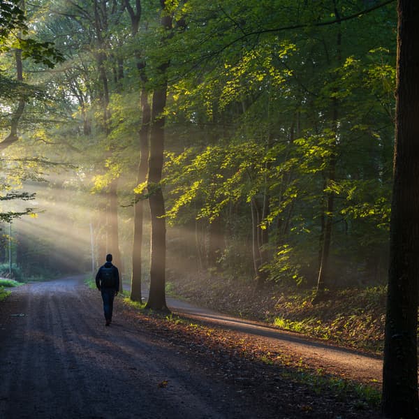 Thumbnail for The Path to Knowing God