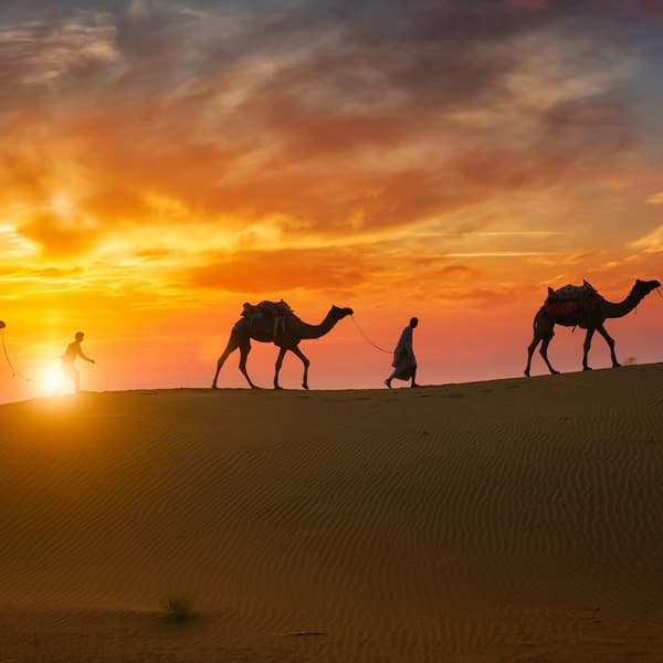 Thumbnail for Close to the Climax