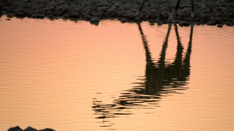 Como abrirse al Espíritu Santo