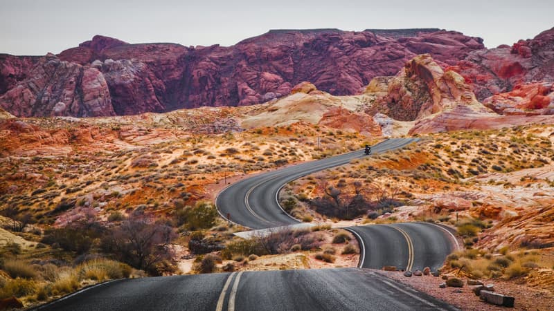 El llamado a permanecer soltero