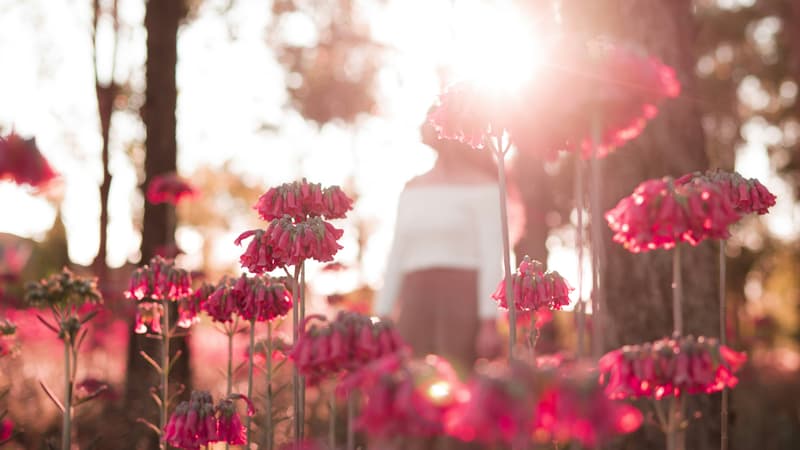 Mi matrimonio con Lidia