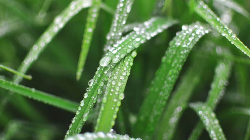 Como Ponerse de Acuerdo Con Dios (Parte 2)