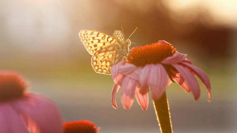 Como Ponerse de Acuerdo Con Dios (Parte 5)