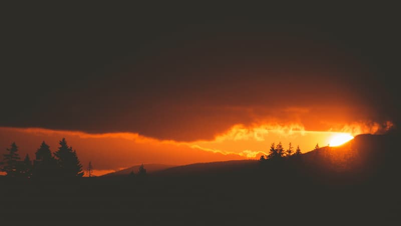 Amor Extravagante (Parte 3)