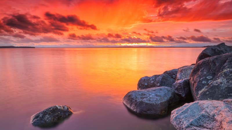 Um Coração Perfeito Para Com Deus II