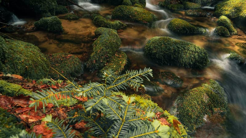 あなたには希望が必要です