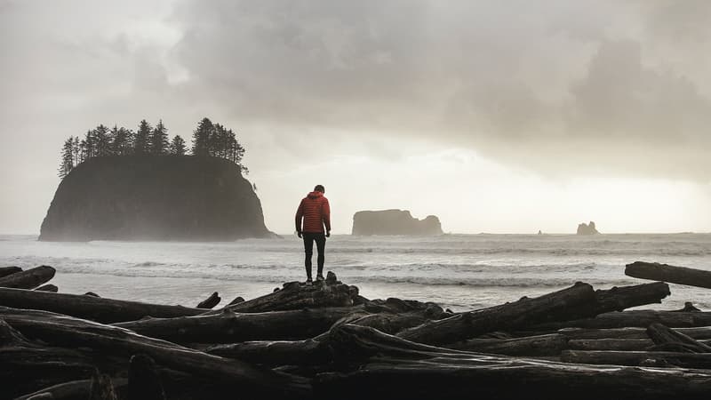 การแสวงหาลักษณะชีวิต