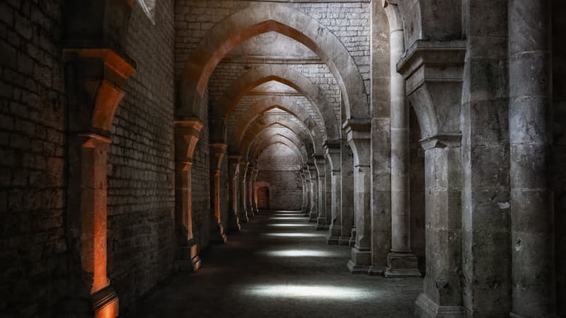 あなたの敵を知る