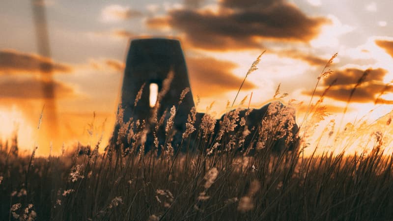 The Seeking of Control