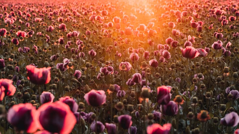 賜物としての信仰