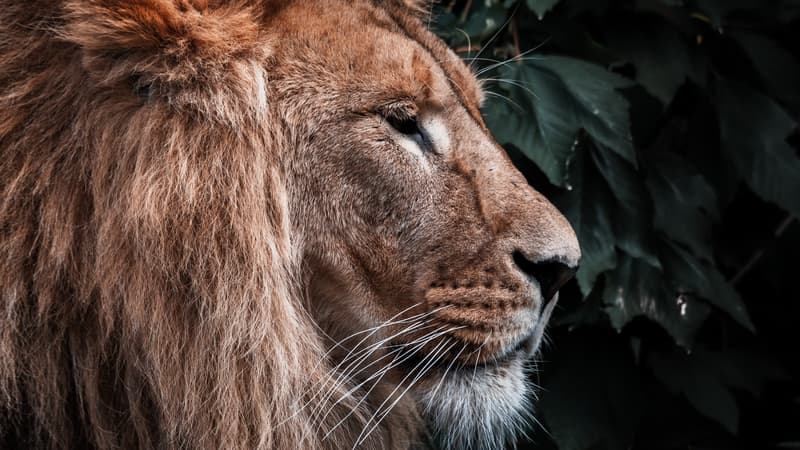 मसीह में आशा - भाग १