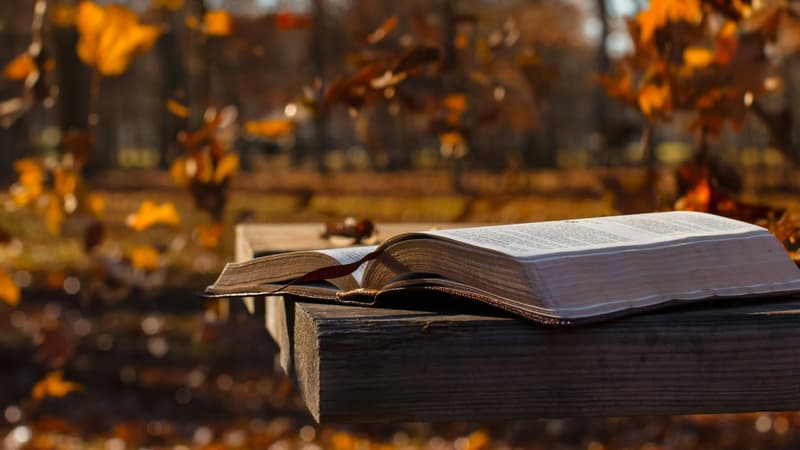 O Que a Palavra de Deus Fará Para Si - Parte 1