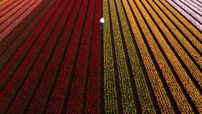 Menjelajahi Tanah Perjanjian Allah (Bagian 2)