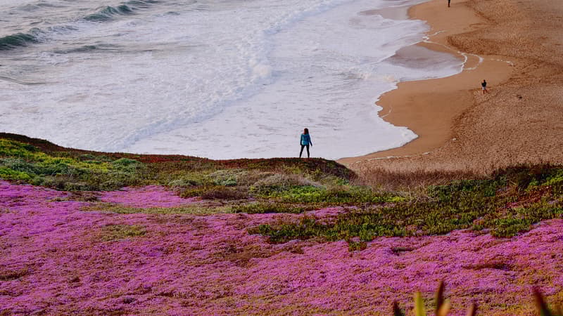 परमेश्वर की प्रतिज्ञाओं की भूमि में होकर चलना