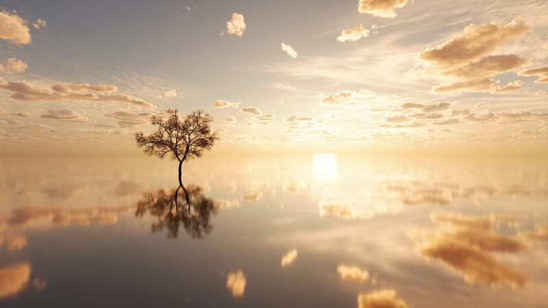 Скромный Слуга И Поядающий Огонь