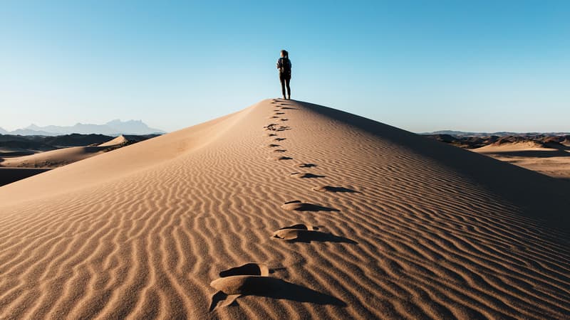 試練に立つ品性