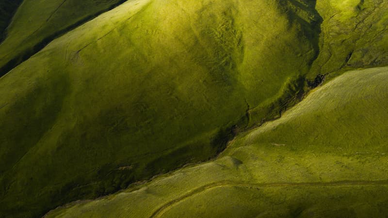 L'unzione della colomba