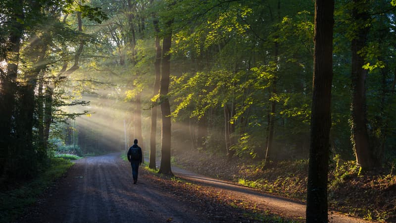 The Path to Knowing God