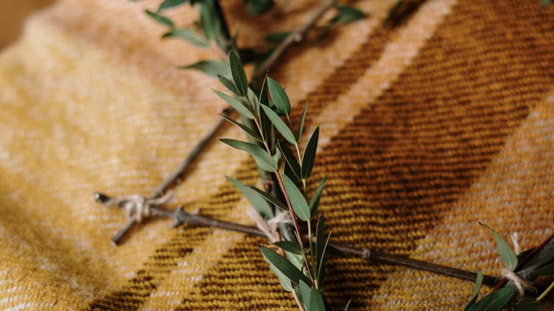 បំណុលរបស់យើង ចំពោះអីស្រាអែល